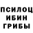 Галлюциногенные грибы GOLDEN TEACHER kupassyatina