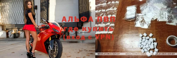 мяу мяу мука Михайловск