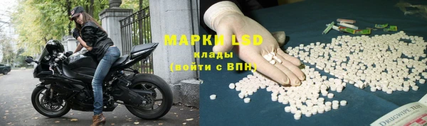 мяу мяу мука Михайловск