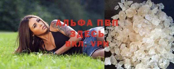 мяу мяу мука Михайловск