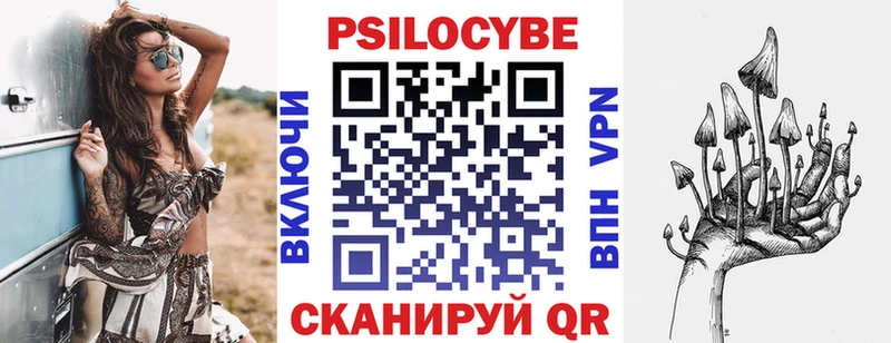 где купить наркоту  Козьмодемьянск  Псилоцибиновые грибы мухоморы 